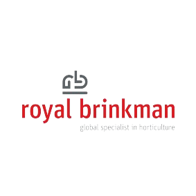 royal_brinkman-removebg-preview